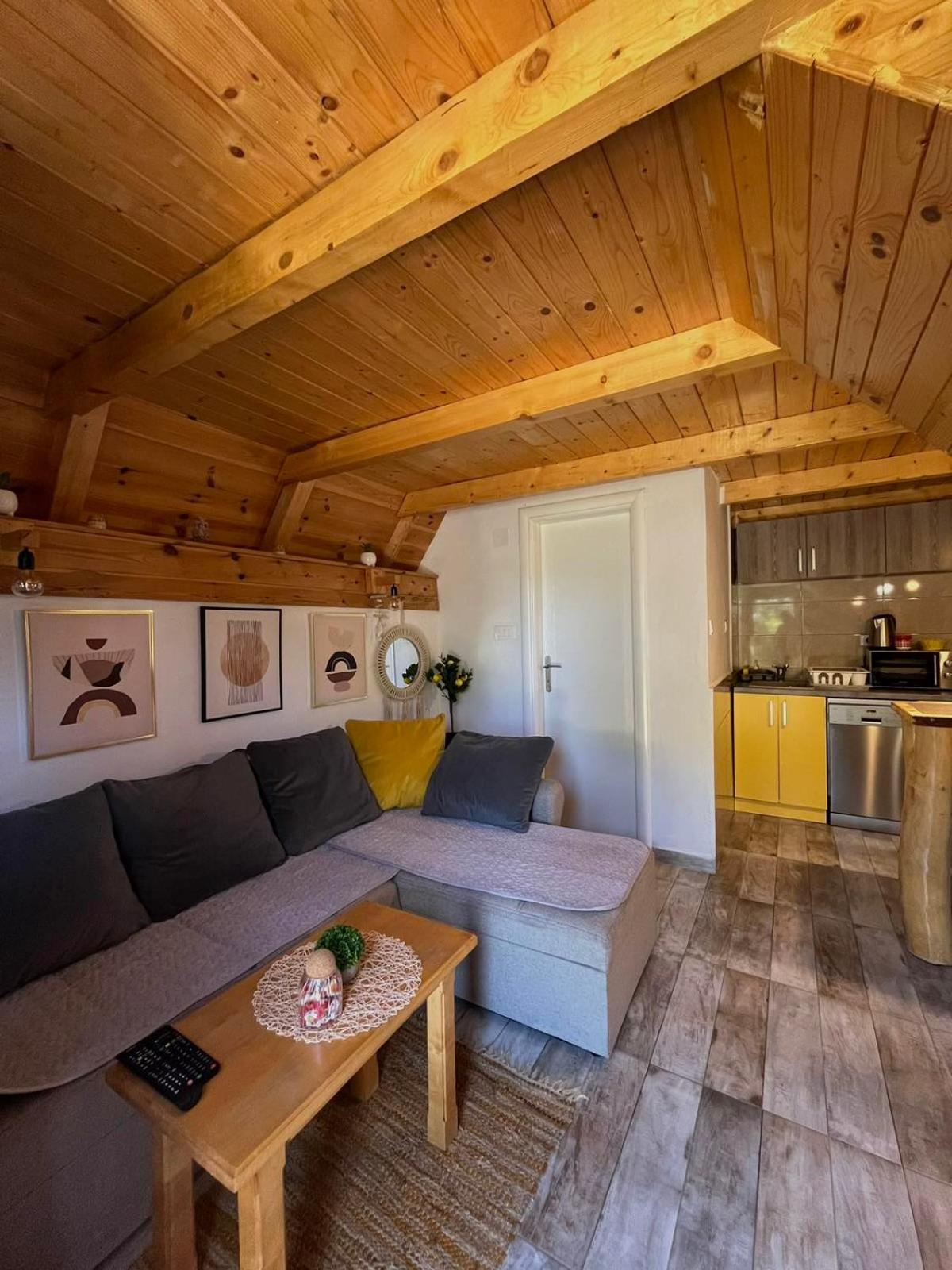 Villa Nikitovic House à Žabljak Extérieur photo